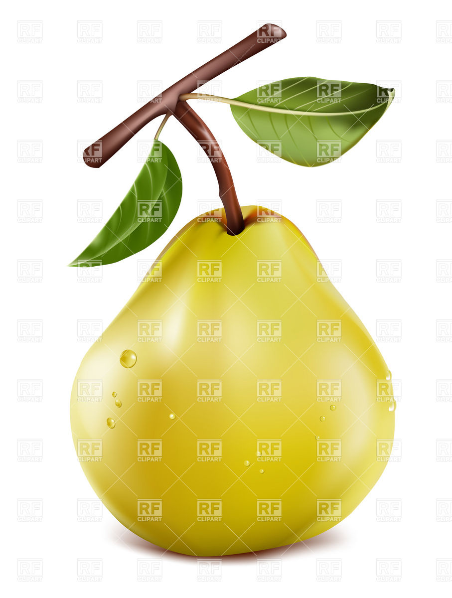 Green Pear With Twig And Leaf 5174 Download Royalty Free Vector    