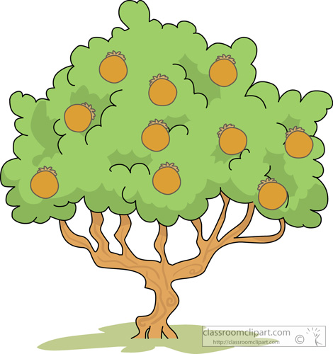 Mango Tree Clipart Free Trees Clipart   Clip Art