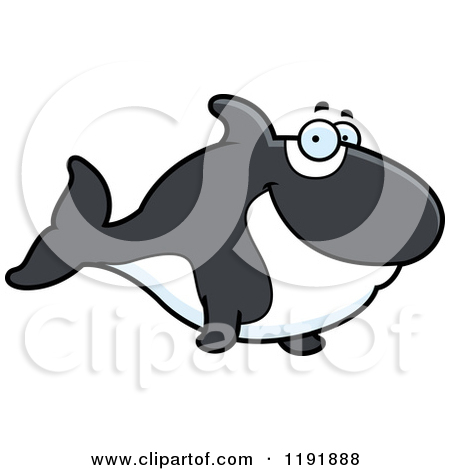 Orca Whale Clipart A Happy Orca Killer Whale