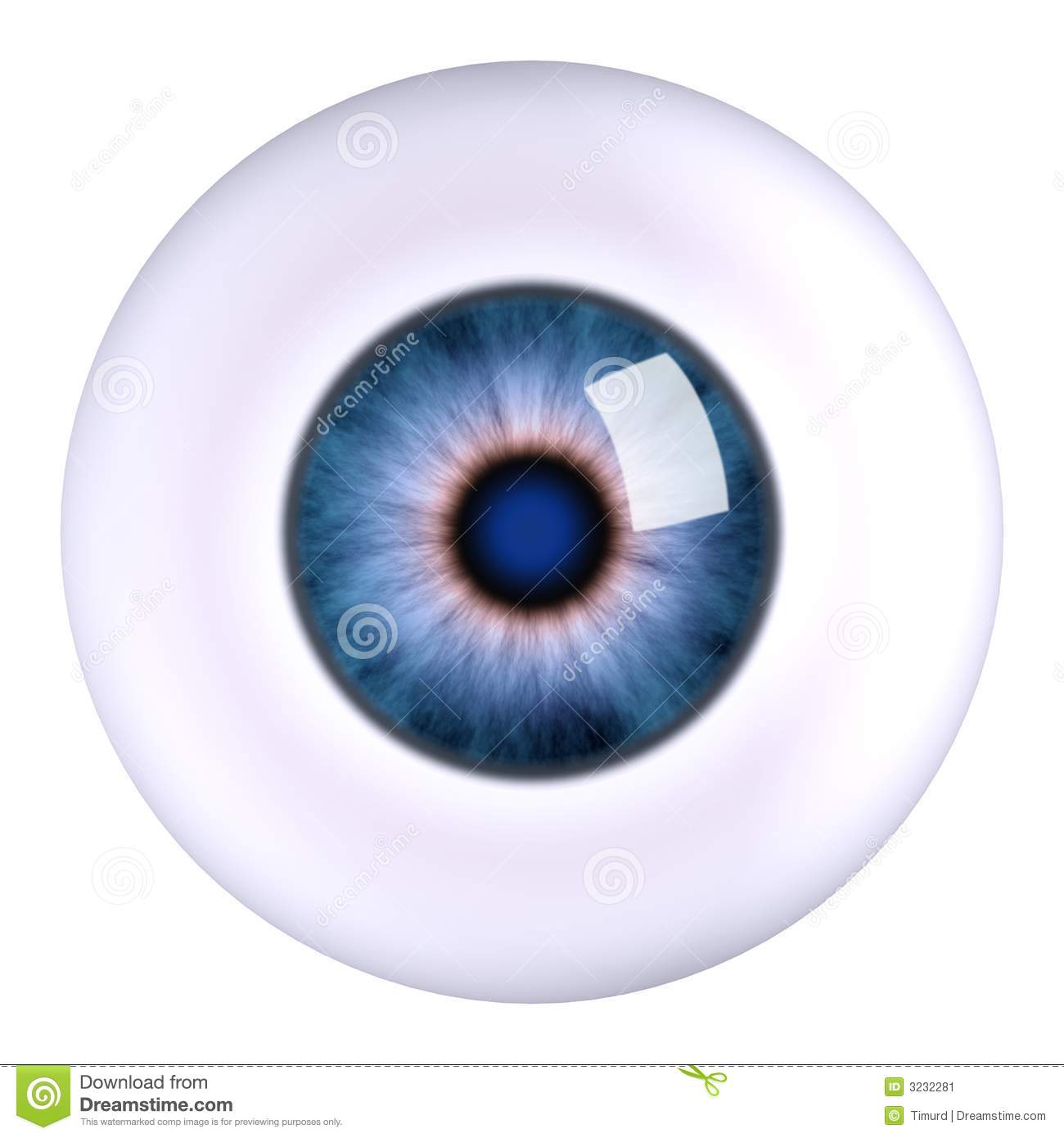 3d Model Eyeball Blue Isolated 