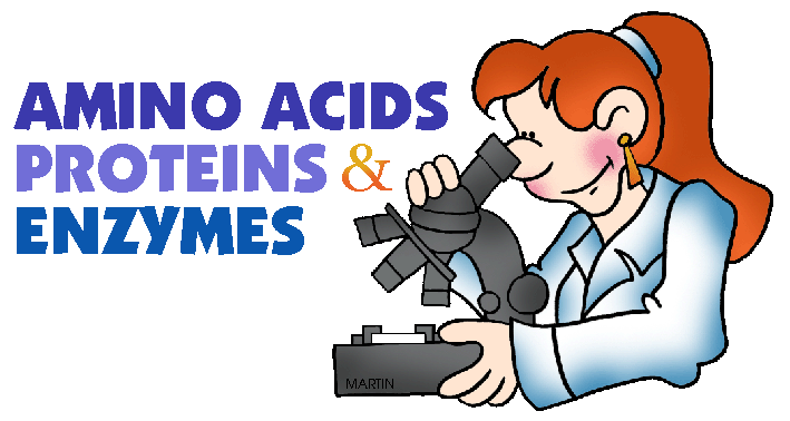 Amino Acids   Free Science Lesson Plans Activities Powerpoints