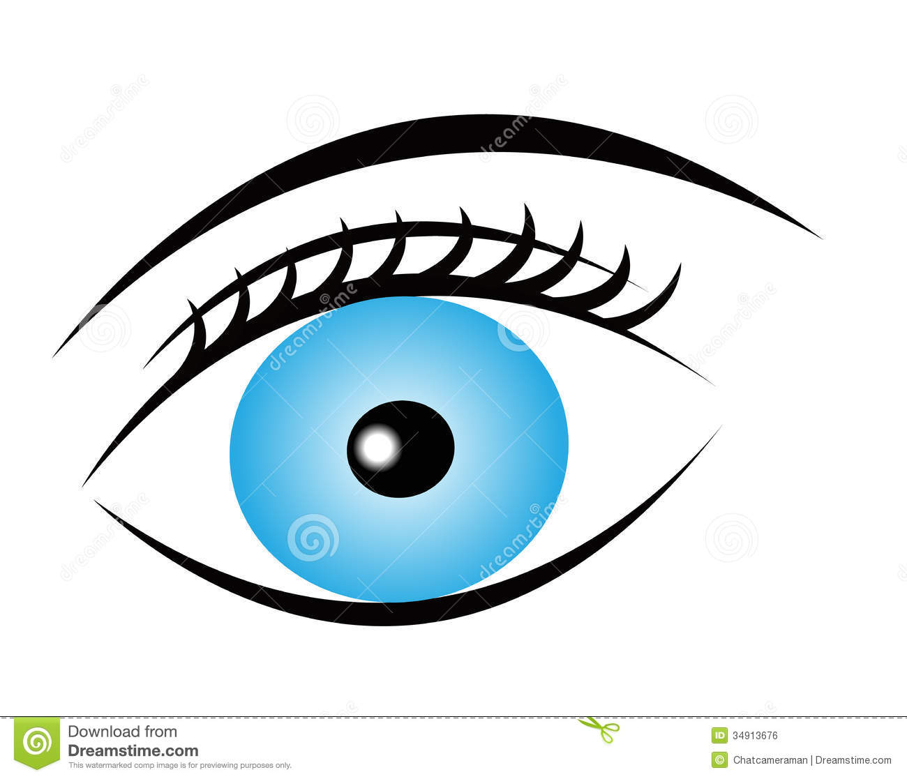 Blue Pure Eye With Eyelash And Eyebrow On White Background Vector Eye    