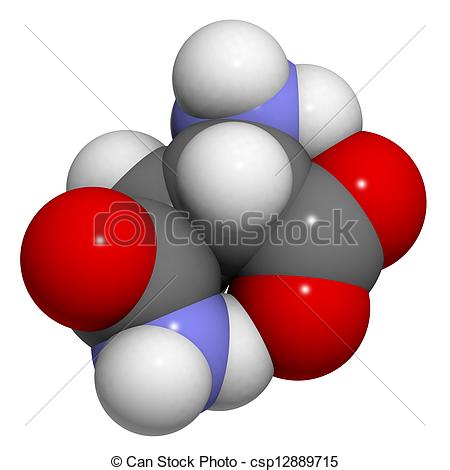 Clipart Of Asparagine Asn N Amino Acid Molecular Model Amino Acids