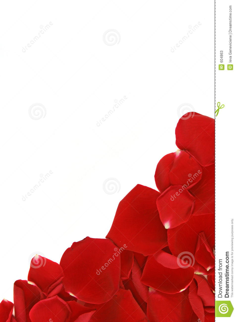 Corner Frame From Scattered Loose Red Rose Petals