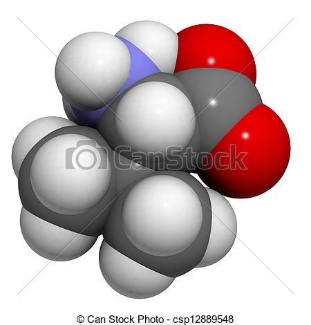 Drawing Of Valine Val V Amino Acid Molecular Model Amino Acids Are