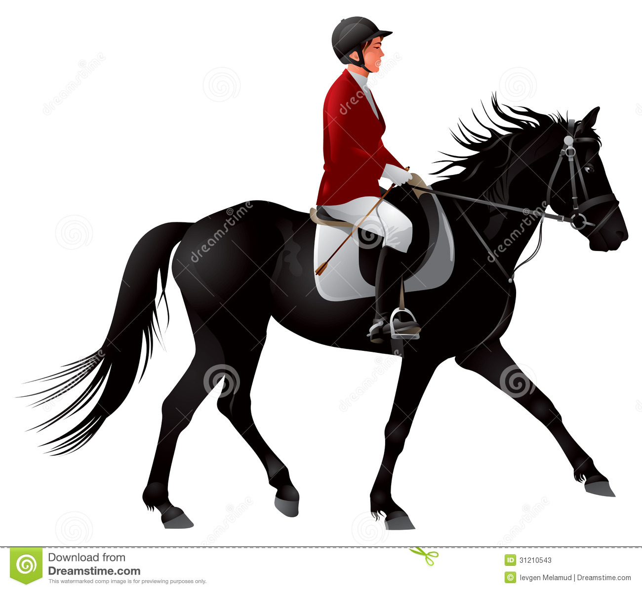 Equestrian Sport Formality Dressed Horsewoman On A Black Horse  Horse
