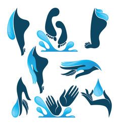 Life In Water Vector Collection Of Clean Women Hands And Foot And    