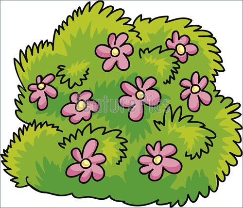 Of Bush With Flowers    Cartoon Illustration Of Green Bush