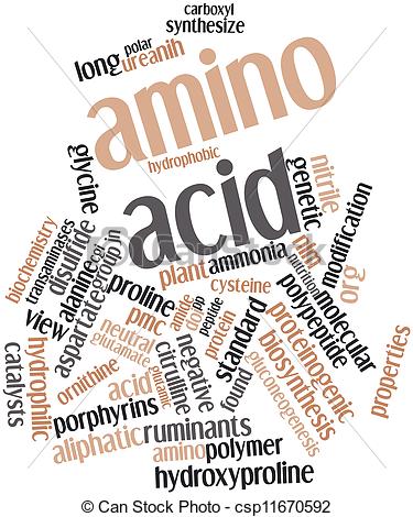 Of Word Cloud For Amino Acid   Abstract Word Cloud For Amino