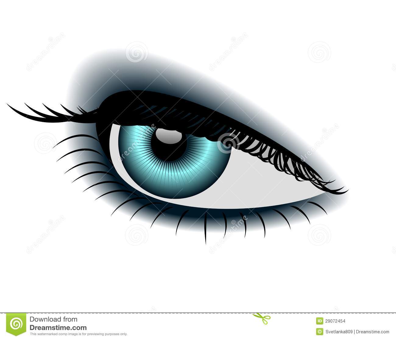One Eye Stock Images   Image  29072454