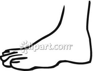 Outline Of A Human Foot   Royalty Free Clipart Picture