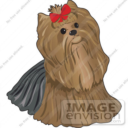     Pampered Pooch A Yorkie Terrier Dog Wearing A Red Bow By Maria Bell