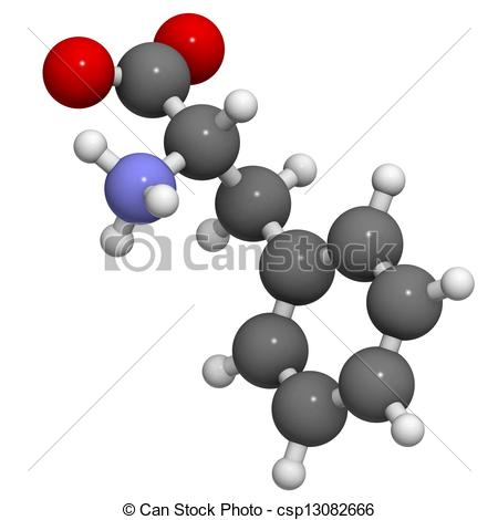 Phenylalanine  Phe F  Amino Acid Molecular Model  Amino Acids Are