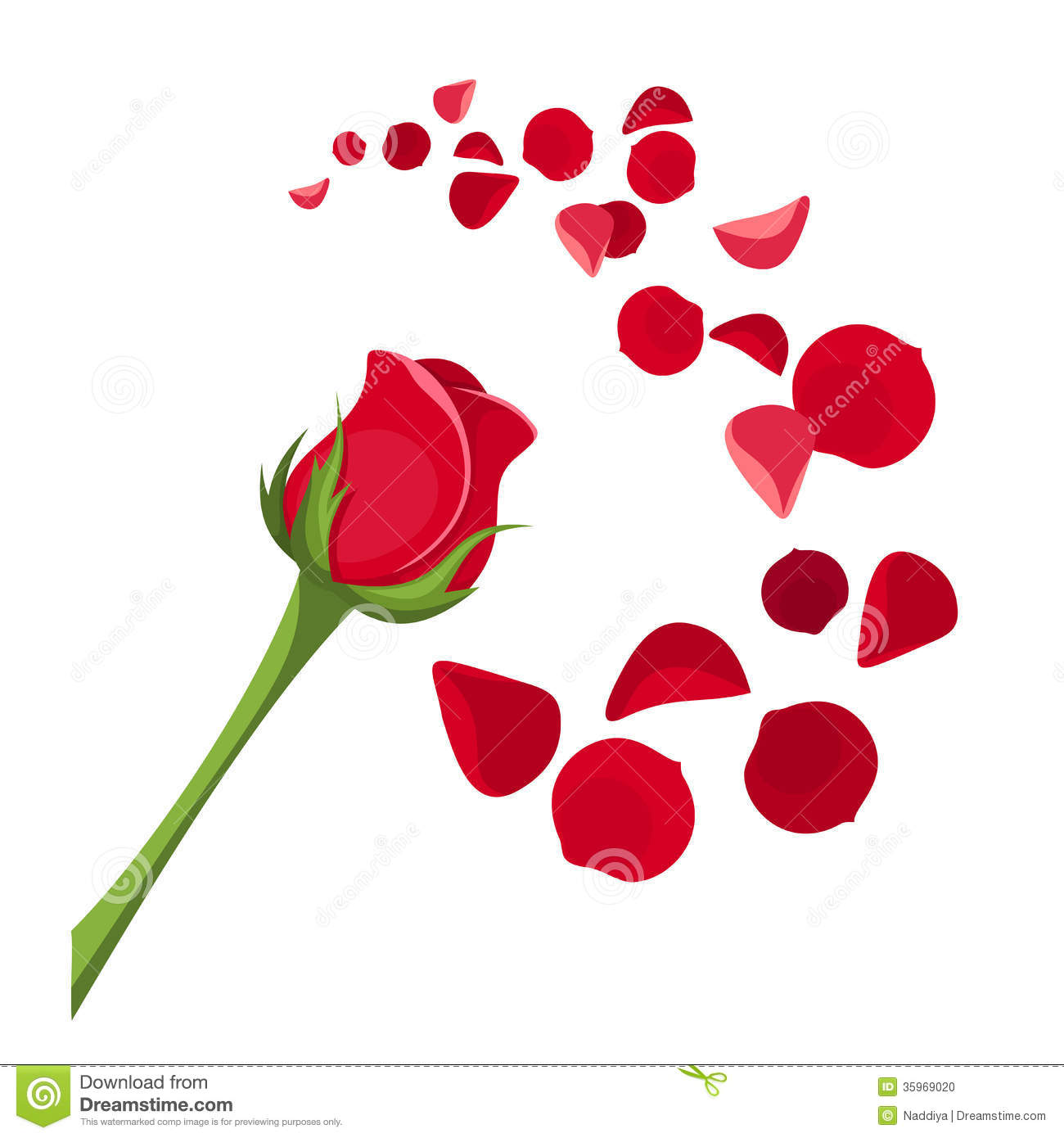 Red Rose With Stem And Rose Petals
