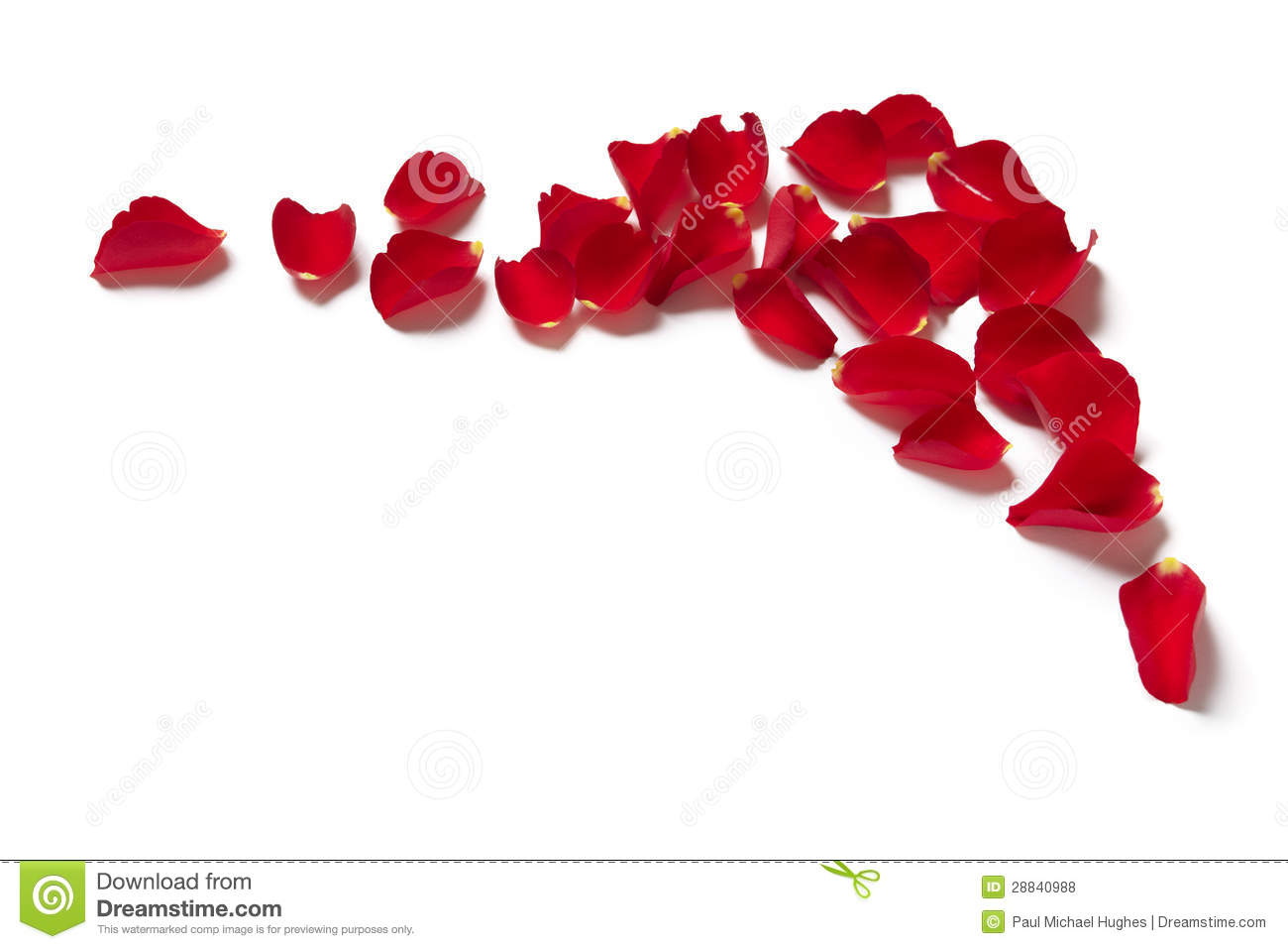 Rose Petal Petals Red Clipart   Free Clip Art Images