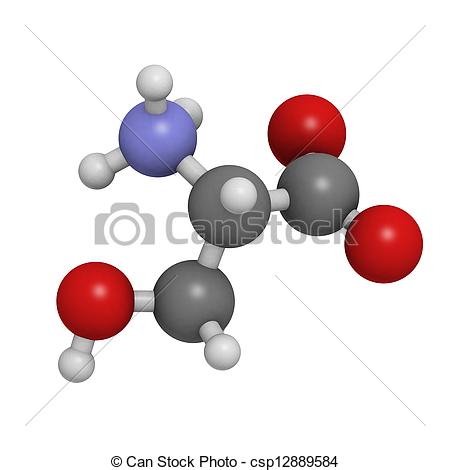 Serine  Ser S  Amino Acid Molecular Model  Amino Acids Are The