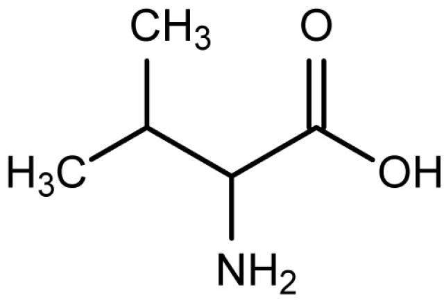 This Is The Chemical Structure Of Valine  Photo Credit  Todd