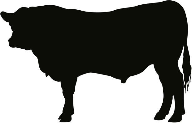 Beef Cow Silhouette   Clipart Panda   Free Clipart Images