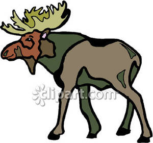 Bull Moose Royalty Free Clipart Picture