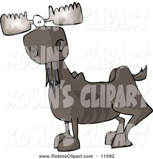 Clip Art Of A Full Grown Bull Moose With Antlers Facing Left