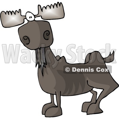 Full Grown Bull Moose With Antlers Clipart   Dennis Cox  4901