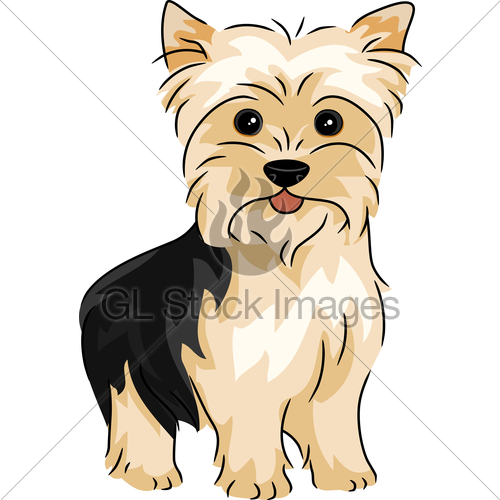 Illustration Featuring A Yorkshire Terrier