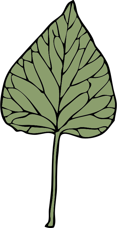 Poison Ivy Leaf Clipart Pictures