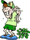 Poison Ivy Rash