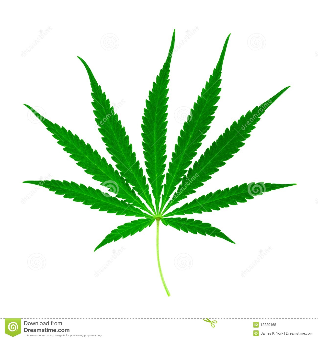 Weed Joint Clipart Marijuana Leaf Isolated On