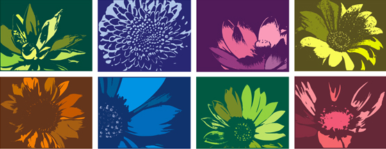 17     Simplicity Floral Backgrounds   30 Images