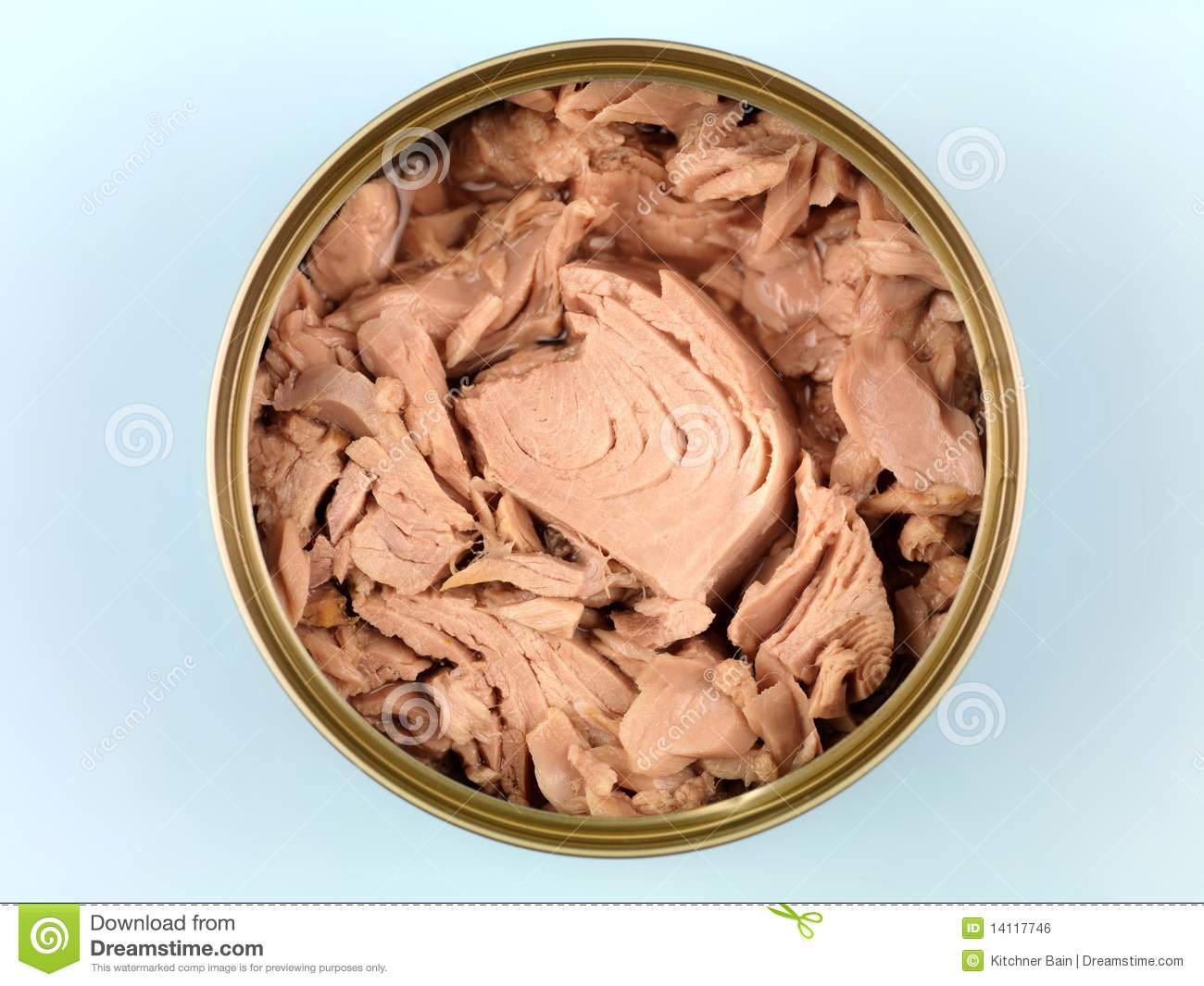 Canned Tuna Royalty Free Stock Image   Image  14117746
