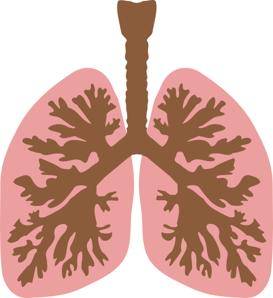 Free Human Lungs Clip Art