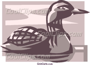 Loon Http   Dir Coolclips Com Nature Animals Birds J To R Loons Loon