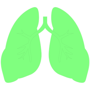Lungs Clipart Cliparts Of Lungs Free Download  Wmf Eps Emf Svg