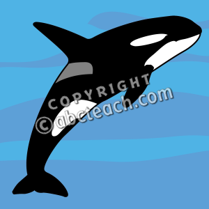 Pin Killer Whale Clipart On Pinterest