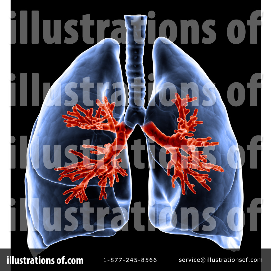 Royalty Free  Rf  Lungs Clipart Illustration By Mopic   Stock Sample