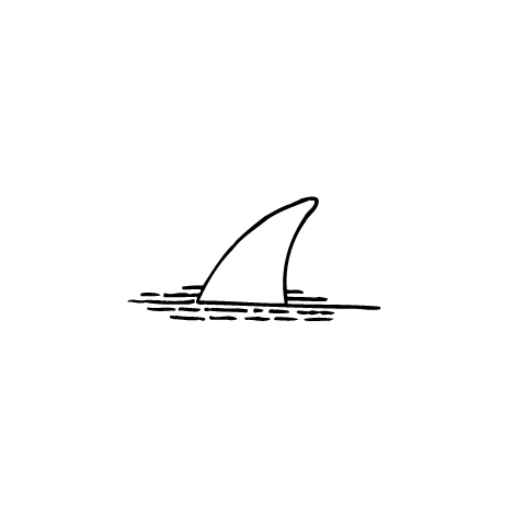 Shark Finsharkfinningfin  11       