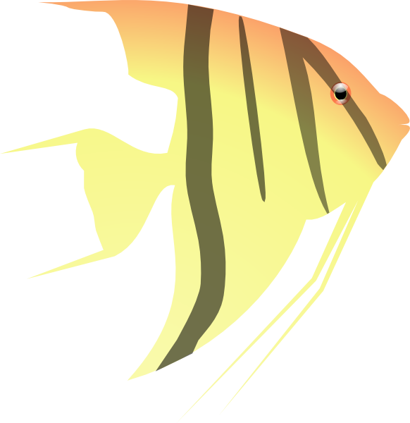 Angel Fish Clip Art At Clker Com   Vector Clip Art Online Royalty