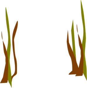 Dead Plant Clipart Dead Reeds Clip Art   Vector