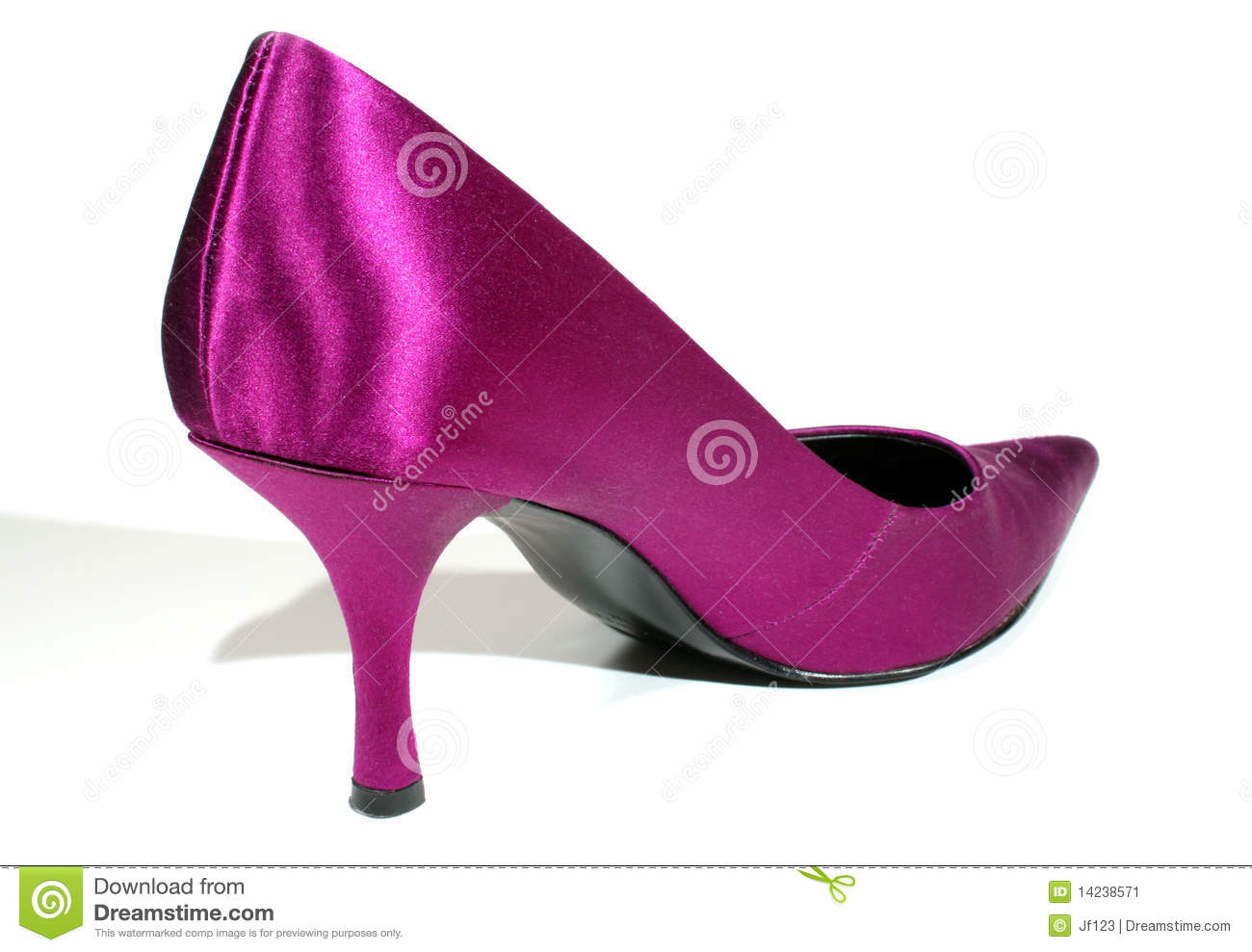 Fancy Shoe Stock Image   Image  14238571