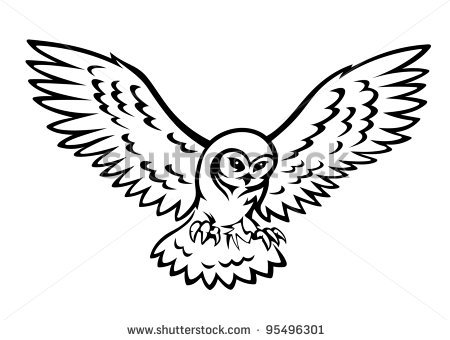 Flying Owl Line Drawing   Clipart Panda   Free Clipart Images