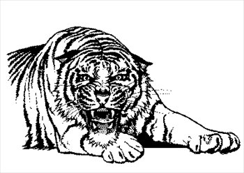 Free Tiger Mad Clipart   Free Clipart Graphics Images And Photos