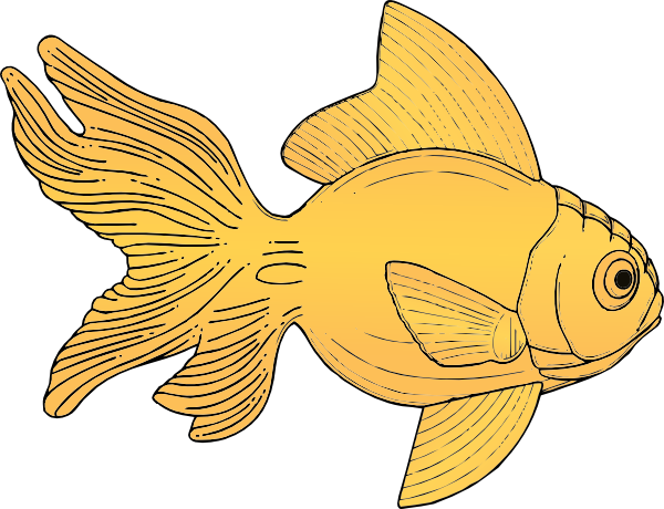 Golden Fish Clip Art At Clker Com   Vector Clip Art Online Royalty    