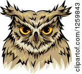 Royalty Free Owl Illustrations By Bnp Design Studio Page 1
