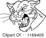 And White Hissing Cougar Head Royalty Free Vector Clipart By Lafftoon