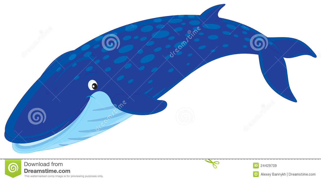 Baby Blue Whale Clip Art   Clipart Panda Free Clipart Images