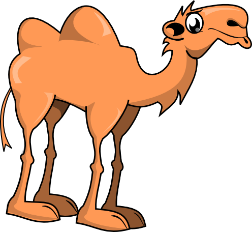 Cute Camel Cartoon Funny Camel Cartoon 23270868 Jpg