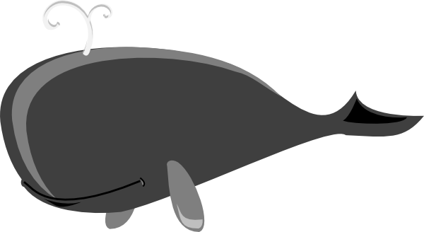 Gray Whale Grey Clip Art At Clker Com   Vector Clip Art Online