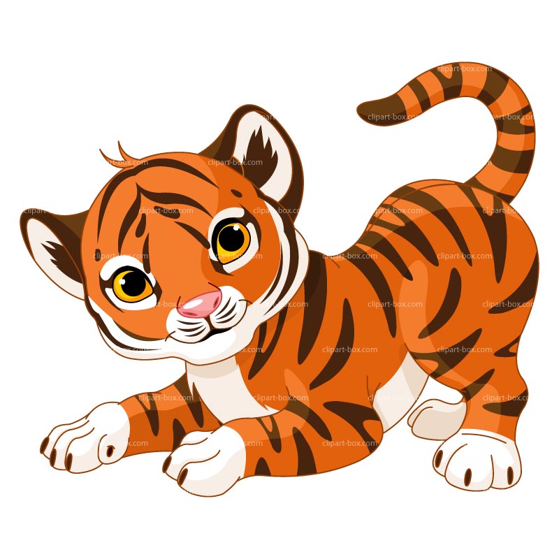 Tiger Clipart 07