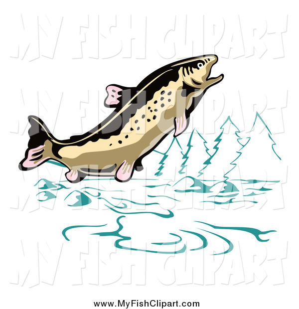     Trout Fish In A Mountainous Lake Or River By Patrimonio    1142